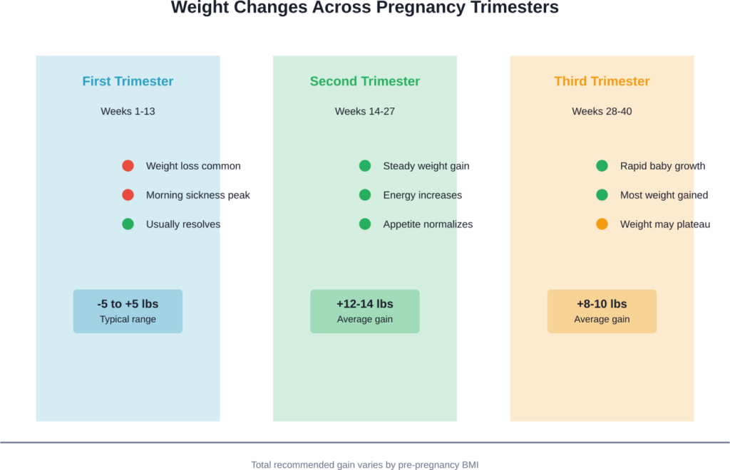 Weight changes throughout pregnancy vary by trimester, with first trimester weight loss being common and typically not concerning.