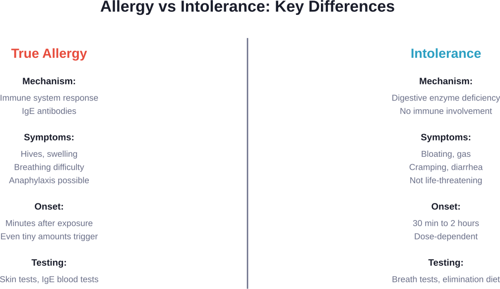 Understanding whether symptoms stem from allergy or intolerance determines the appropriate testing and treatment approach.