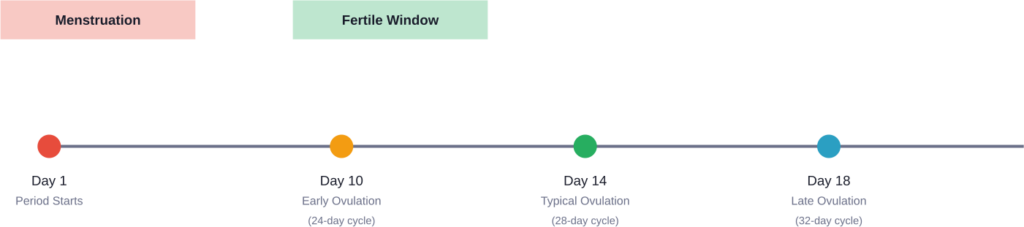 Ovulation timing varies based on menstrual cycle length. Shorter cycles mean ovulation occurs closer to the end of your period.