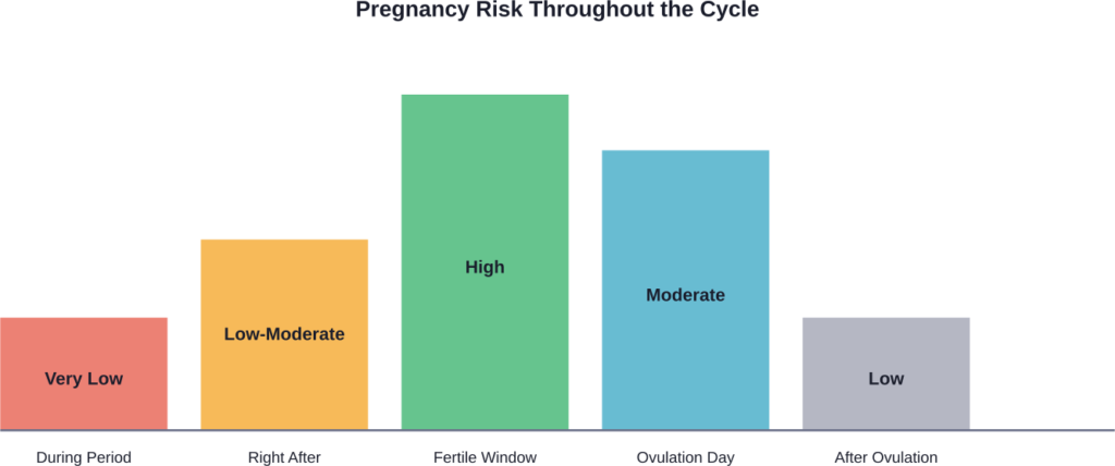 Relative pregnancy risk varies throughout the menstrual cycle, with the highest probability during the 6-day fertile window before and including ovulation day.