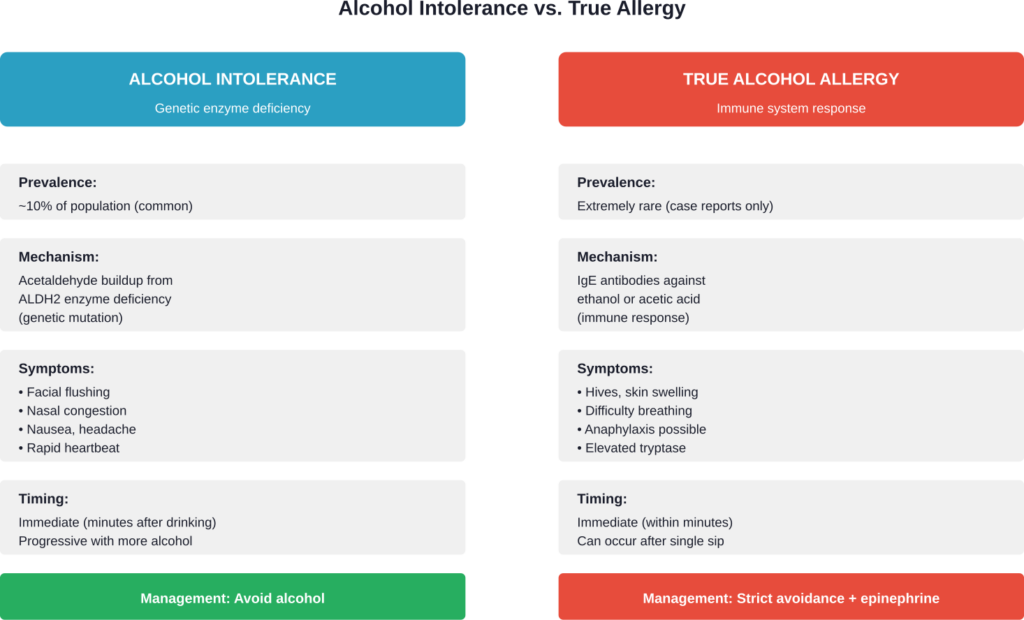 Key differences between alcohol intolerance and true alcohol allergy