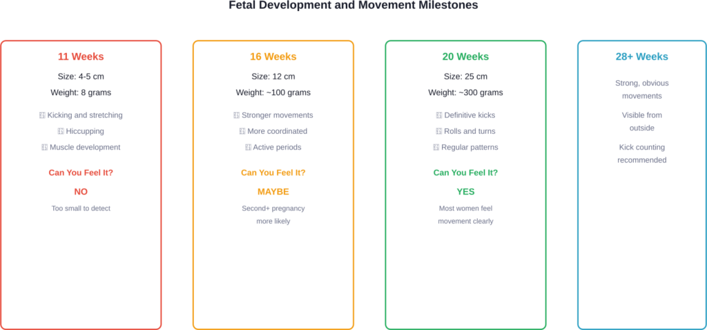 Can You Feel Baby Move at 11 Weeks? The Truth (2026)