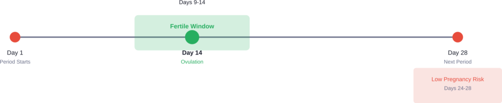Typical 28-day menstrual cycle showing ovulation timing and fertile window