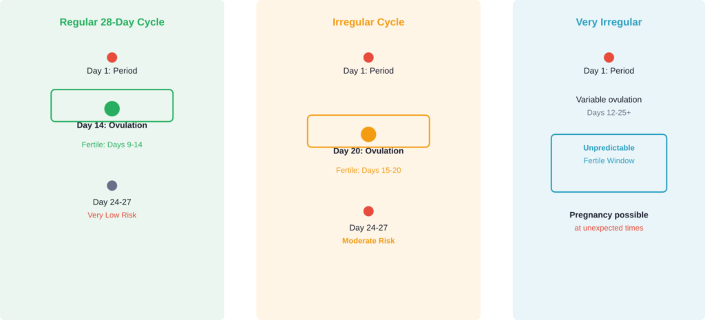 Comparison of pregnancy risk timing across different cycle patterns