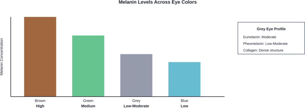 Relative melanin concentration across different eye colors, showing grey eyes' unique intermediate position