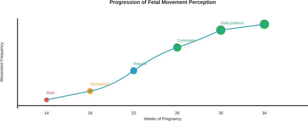 Fetal movement perception increases gradually from rare, ambiguous sensations in early second trimester to consistent, unmistakable patterns by the third trimester.