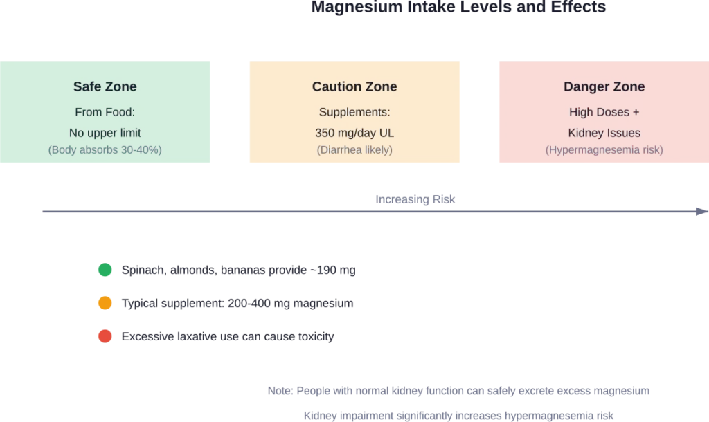 Visual breakdown of safe magnesium intake levels from food and supplements, showing where risks begin to emerge.