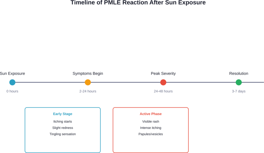 The typical progression of polymorphous light eruption from initial sun exposure through symptom development and resolution