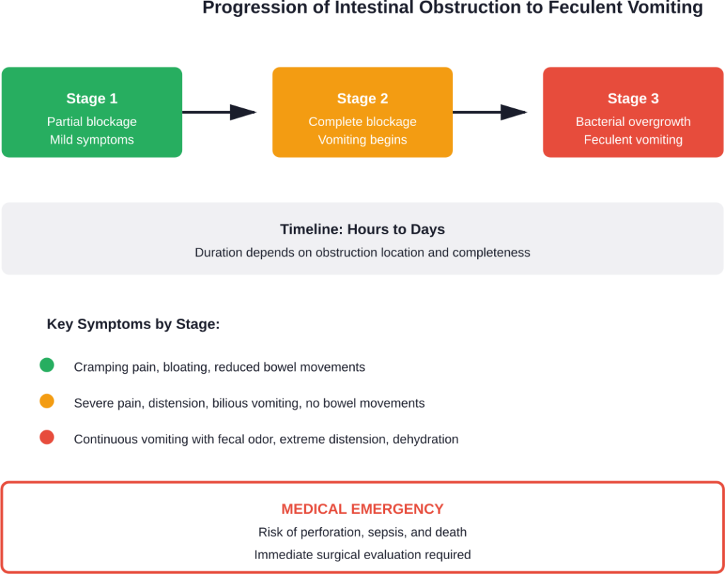 Timeline showing progression from partial obstruction to feculent vomiting emergency