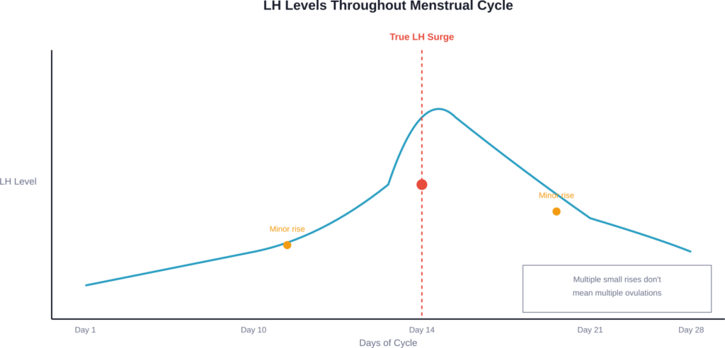 Typical LH hormone pattern showing one true surge with minor fluctuations that don't indicate ovulation