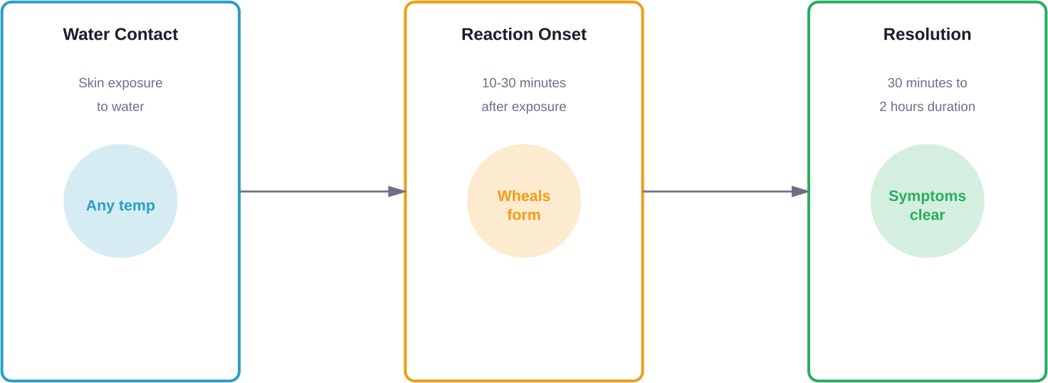 Хронология событий 28 февраля 2026 года в Дубае и ОАЭ