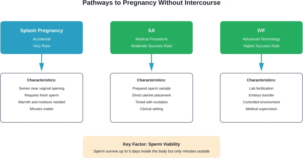 Three pathways to pregnancy without penetrative intercourse, ranging from accidental splash pregnancy to medical procedures