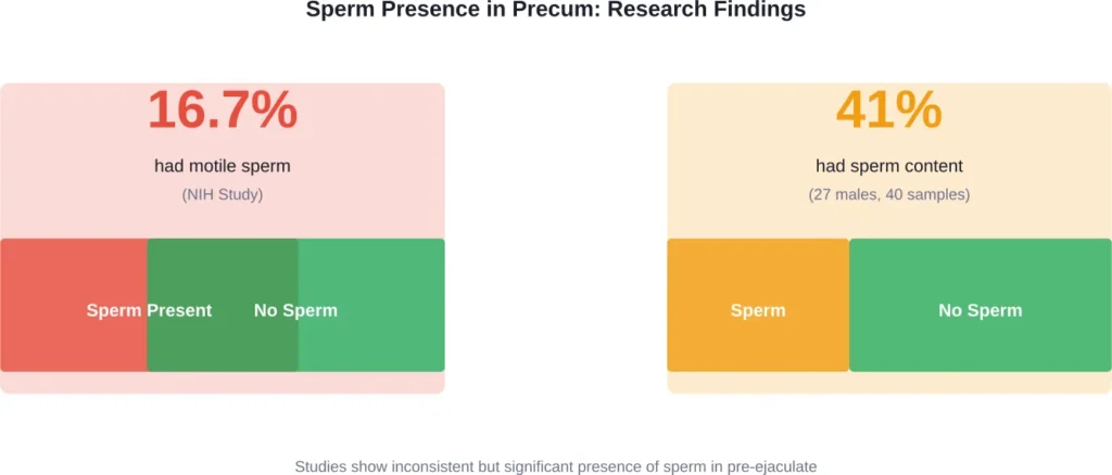 Research findings showing the percentage of males with sperm detected in pre-ejaculatory fluid across different studies.