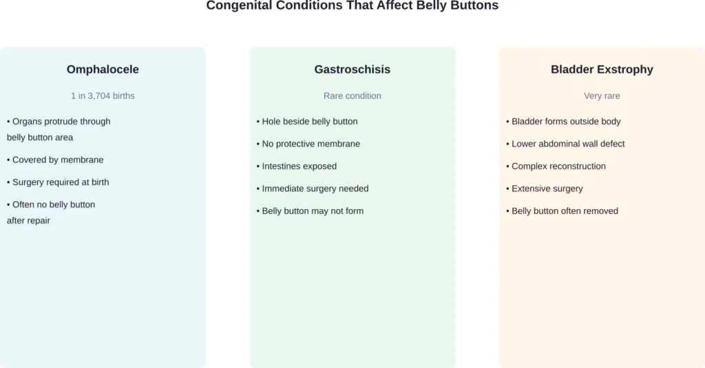 Three main congenital conditions that can result in babies being born without a belly button or losing it during surgical repair.