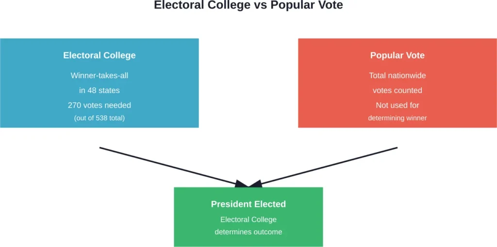 The Electoral College, not the popular vote, determines who becomes president in the United States.