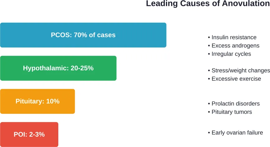 Distribution of anovulation causes based on medical research, with PCOS dominating at 70% of cases
