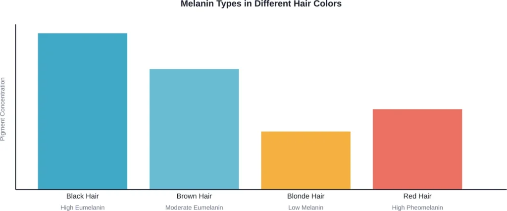 Relative melanin concentrations across natural hair colors, showing why black hair appears darkest