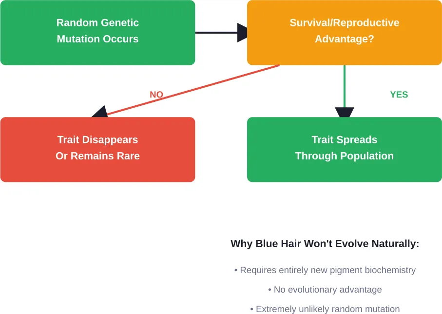 How evolutionary traits spread—and why blue hair won't happen naturally