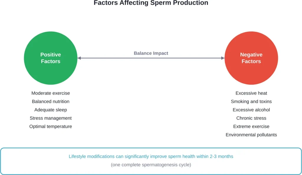 Environmental and lifestyle factors can either support or impair sperm production, with effects visible after one complete production cycle (64-74 days).