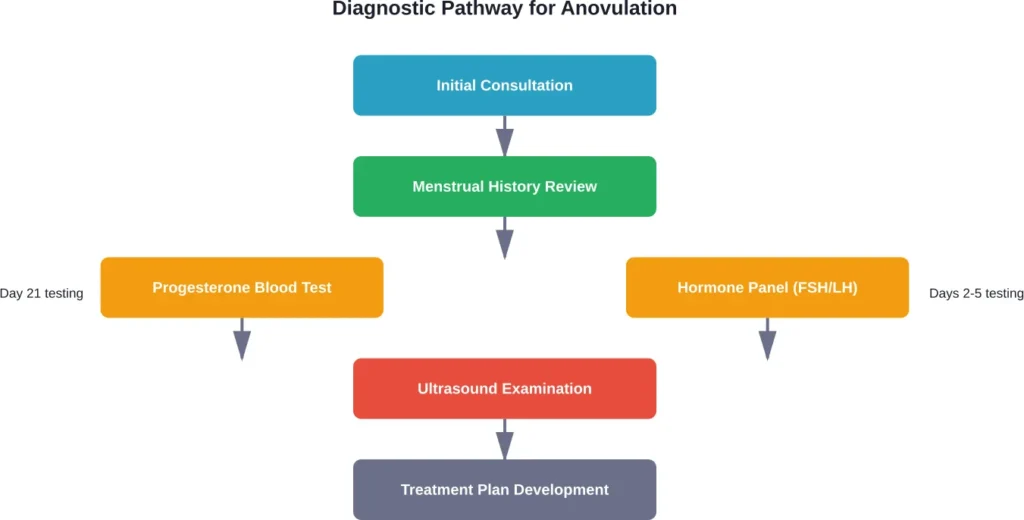 Standard medical diagnostic pathway for confirming and evaluating anovulation
