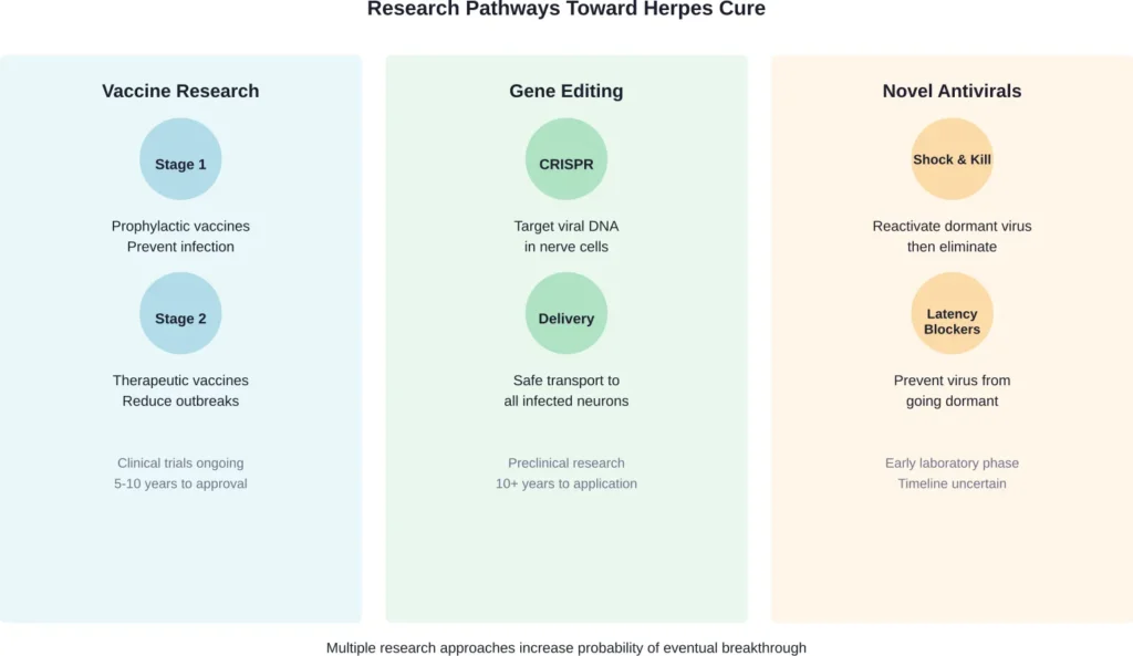 Current scientific approaches to developing a cure for herpes simplex virus
