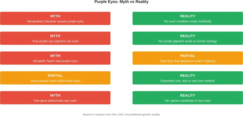 Common myths about purple eyes compared with scientific reality.