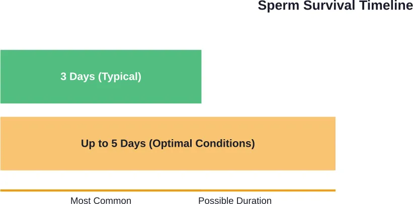 Sperm typically survive 3 days but can remain viable up to 5 days in favorable cervical conditions.