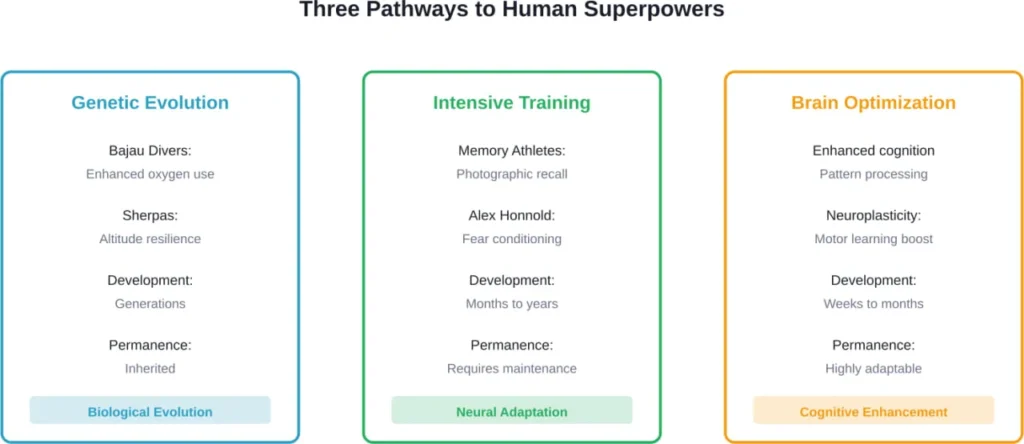 The three scientifically validated pathways through which humans can develop superhuman abilities, each with distinct mechanisms and timelines.