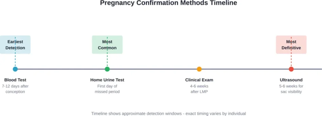 Timeline comparing when different pregnancy confirmation methods can detect pregnancy, from earliest blood tests to definitive ultrasound visualization.