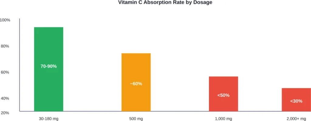 Vitamin C absorption efficiency decreases significantly as dosage increases beyond recommended levels.