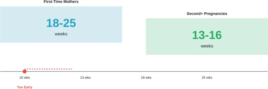 Timeline of when mothers typically first feel fetal movement (quickening)
