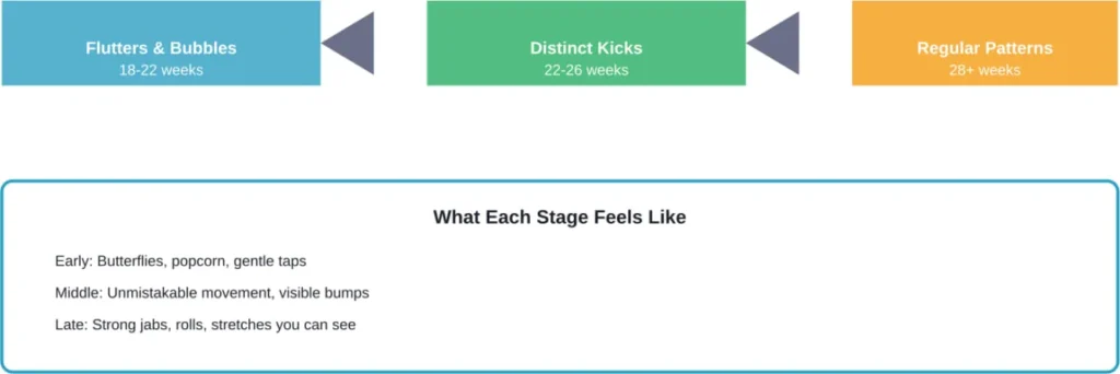 Progression of fetal movement sensation from first flutters through established patterns