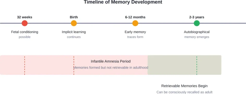 The development of memory systems from fetal period through early childhood