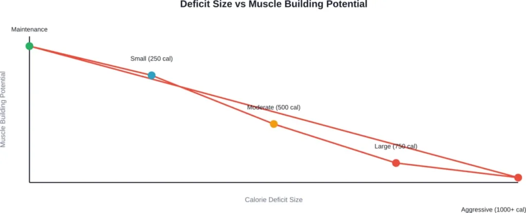 Muscle building potential decreases as calorie deficit size increases, with moderate deficits offering the best balance for body recomposition.