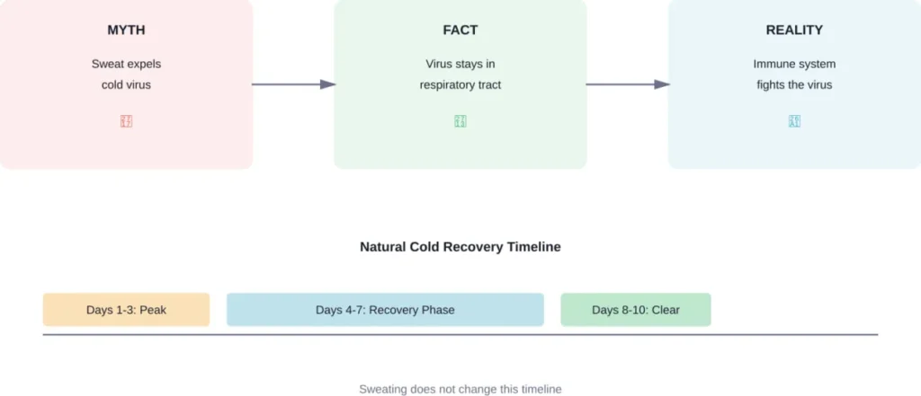 The myth versus reality of sweating out a cold, including natural recovery timeline