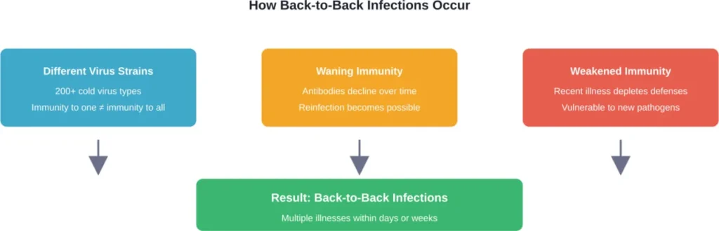 Three primary mechanisms that enable consecutive infections without recovery time between illnesses.