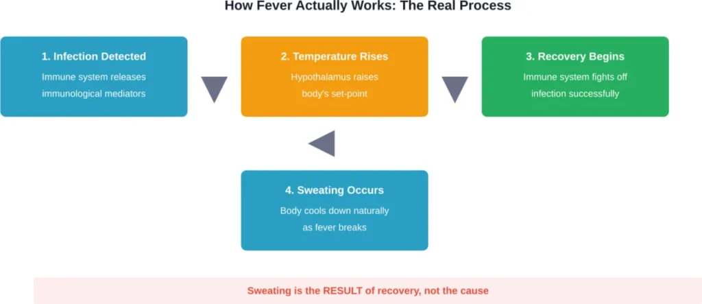 The fever cycle shows that sweating occurs after recovery begins, not as a treatment mechanism.