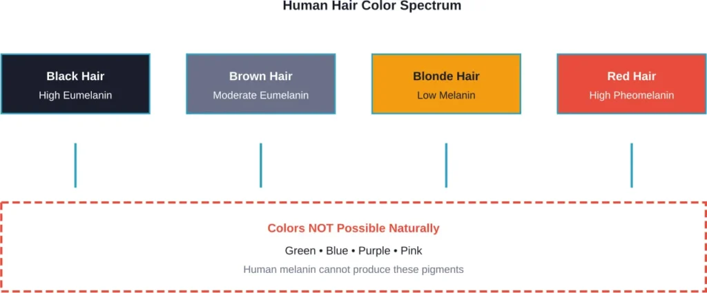 The complete spectrum of natural human hair colors, showing what's biologically possible versus impossible
