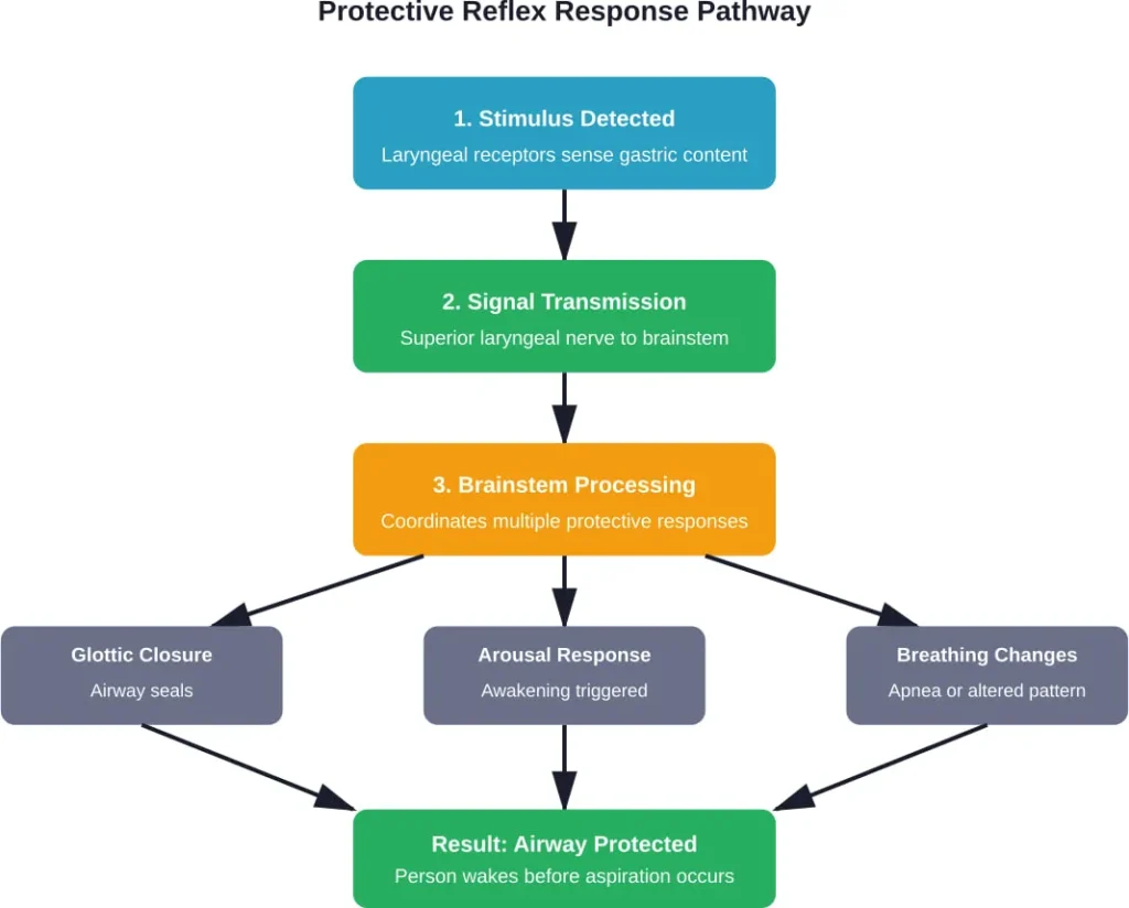 The multi-stage protective reflex pathway that prevents aspiration during sleep by triggering awakening before vomiting occurs