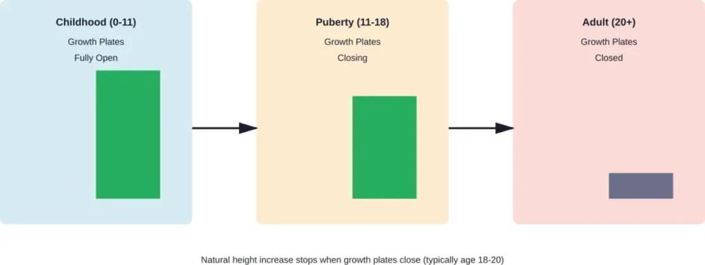 Timeline of growth plate activity from childhood through adulthood