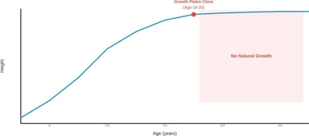Typical human height growth curve showing plateau after growth plate closure