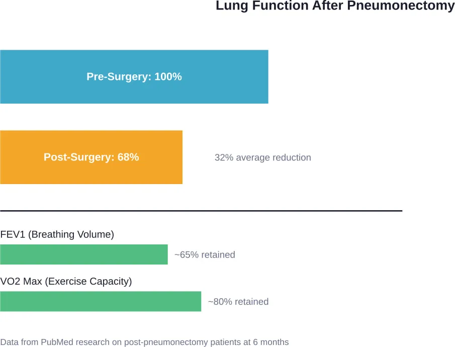 Average lung function retention after pneumonectomy shows better-than-expected compensatory adaptation