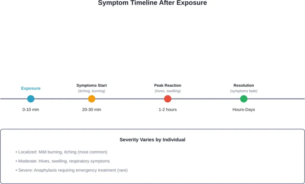 Timeline showing typical progression of semen allergy symptoms from exposure to resolution