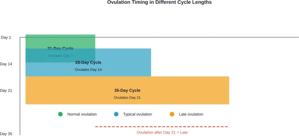 Ovulation timing varies with cycle length. Ovulation after day 21 is considered late, but may be normal for longer cycles.