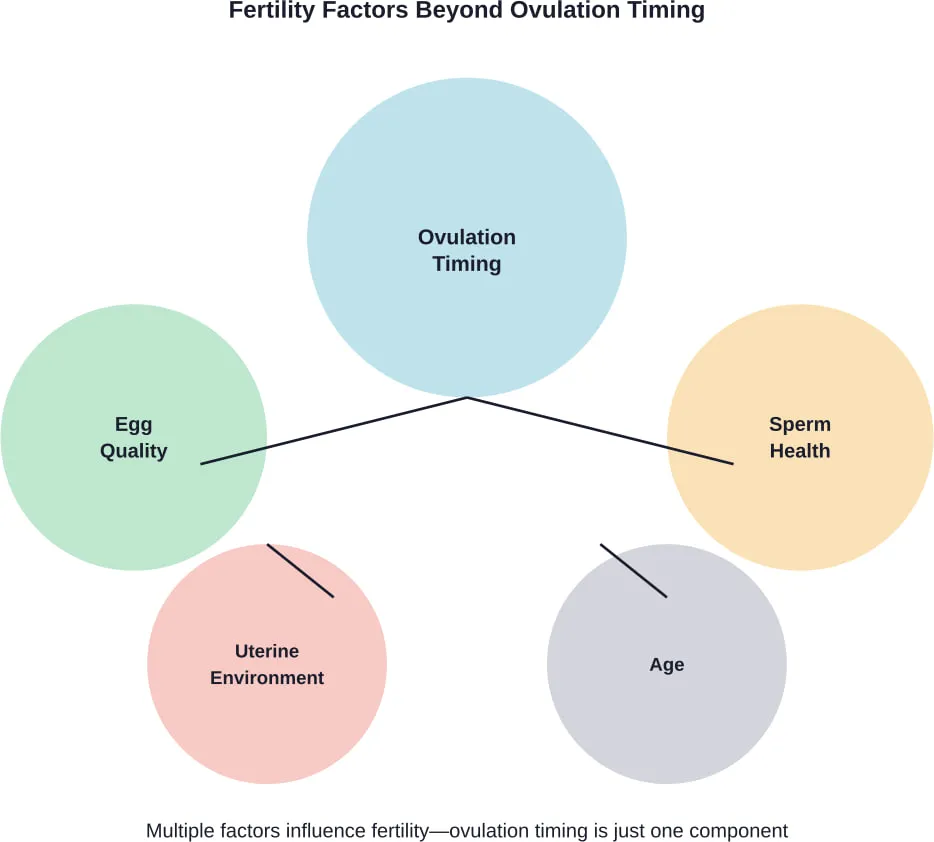 Fertility depends on multiple interconnected factors, not just ovulation timing alone.