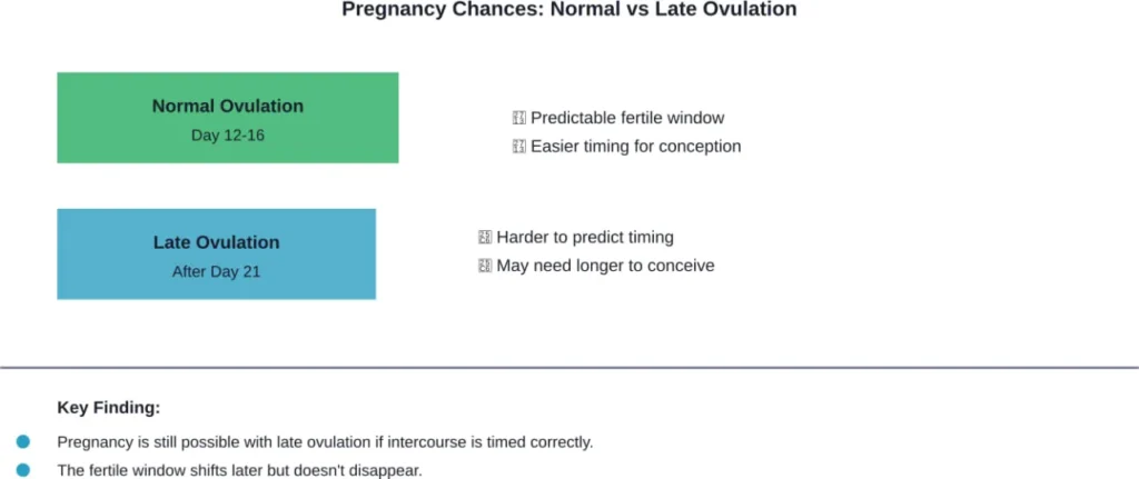 Late ovulation shifts the fertile window but doesn't eliminate pregnancy chances when timing is accurate.
