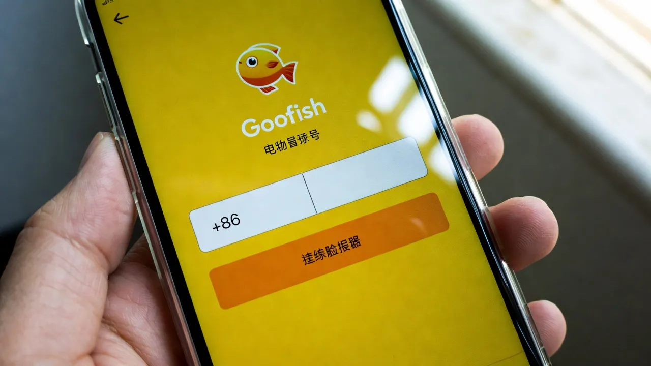 Не Приходит Код от Goofish? Все Рабочие Решения