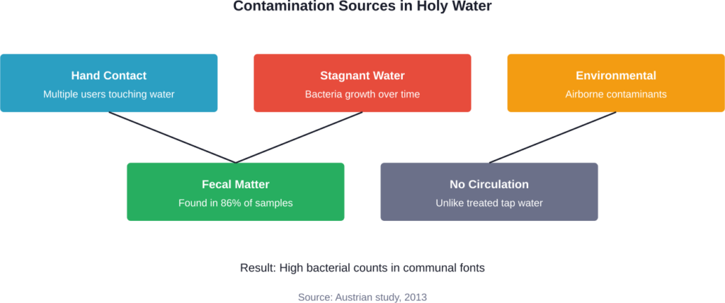Major contamination pathways that make holy water in church fonts potentially unsafe to drink