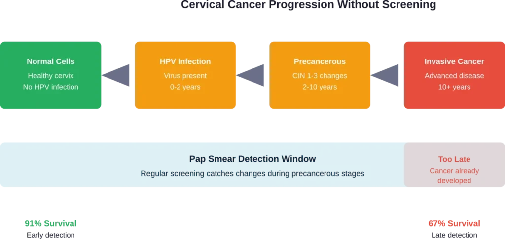 Cervical cancer develops slowly over years, giving regular screening multiple opportunities for early detection before cancer forms.