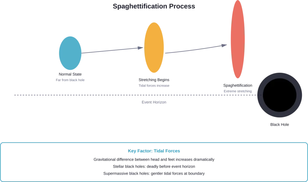 The spaghettification process occurs when tidal forces stretch objects approaching a black hole, with effects varying by black hole size.